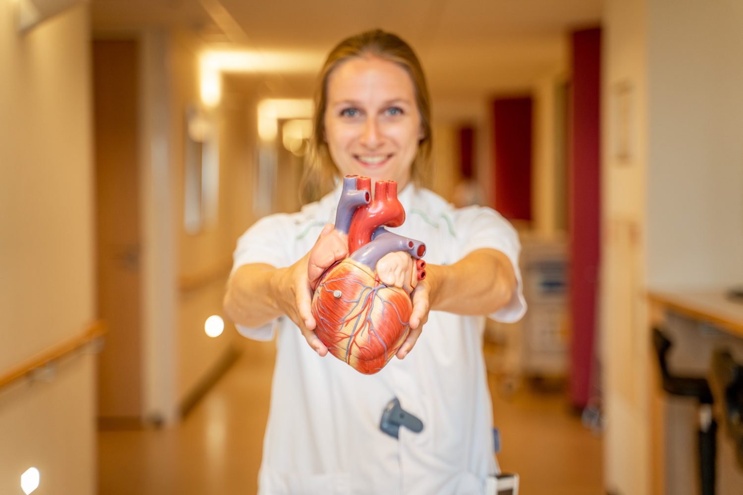 model van een hart